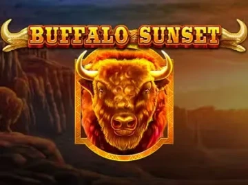 Wyns Casino screenshot